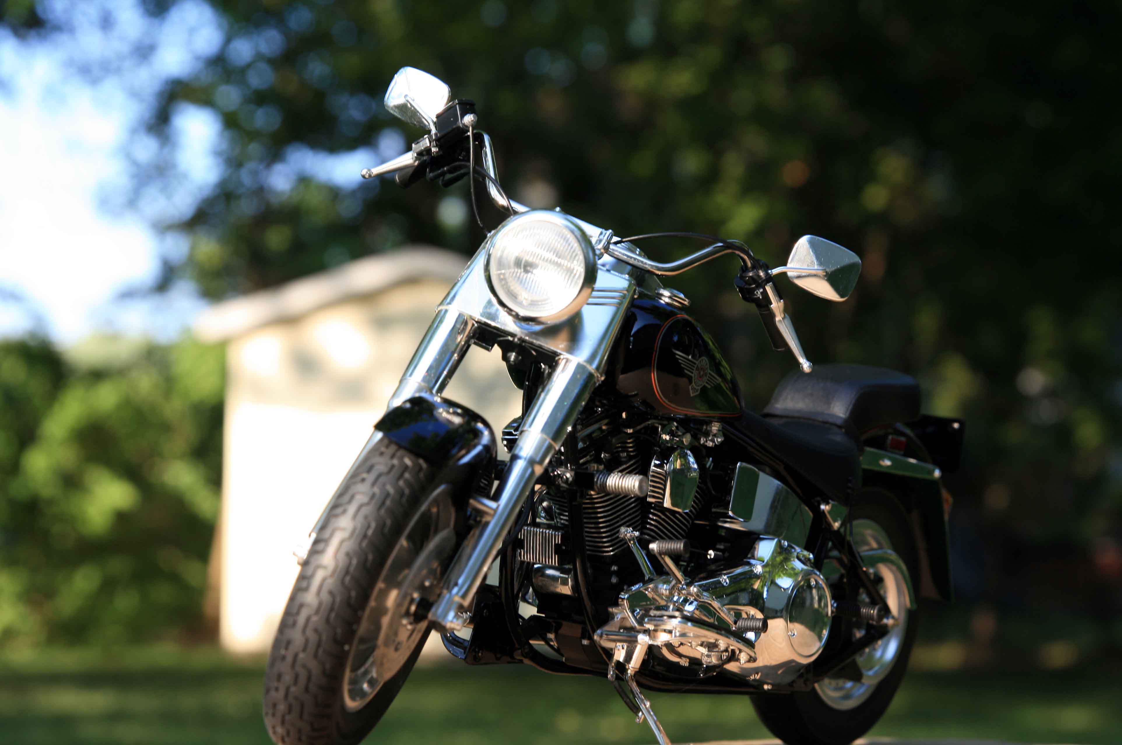 Click to view larger image in new window